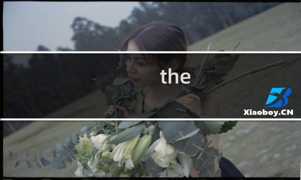 the witness 攻略