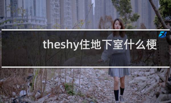 theshy住地下室什么梗