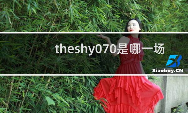 theshy070是哪一场 被称作070无暇赴死什么梗