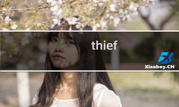 thief 模拟 攻略