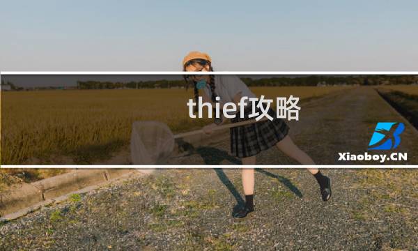thief攻略