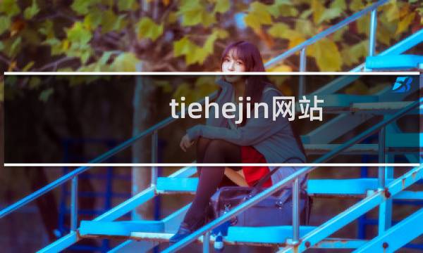tiehejin网站打不开