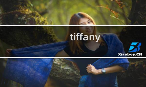tiffany 1837 价格
