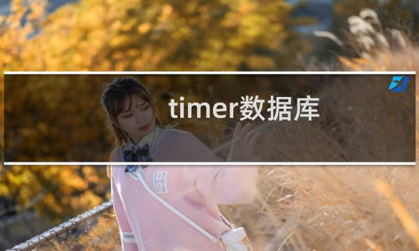 timer数据库