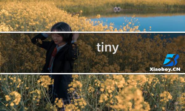 tiny rails攻略
