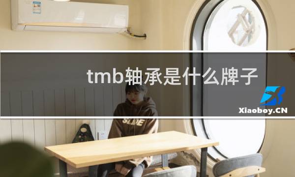 tmb轴承是什么牌子