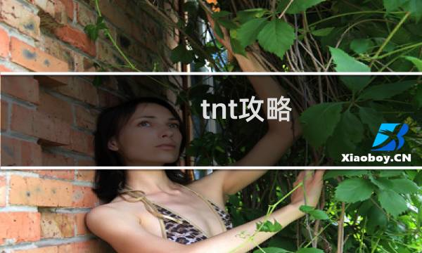 tnt攻略