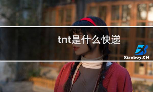 tnt是什么快递