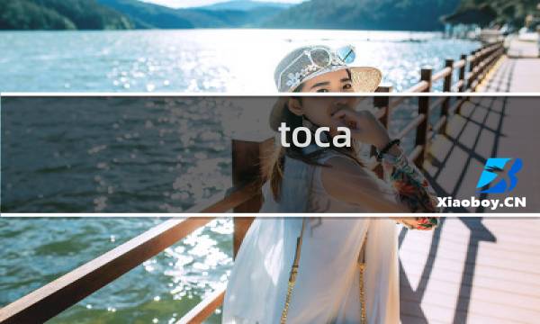toca kitchen 2攻略