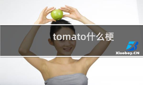 tomato什么梗