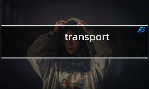 transport tycoon攻略