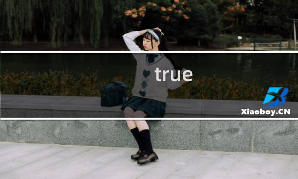 true game游戏攻略
