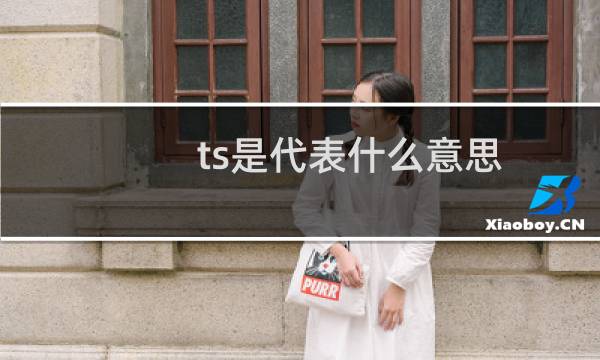 ts是代表什么意思