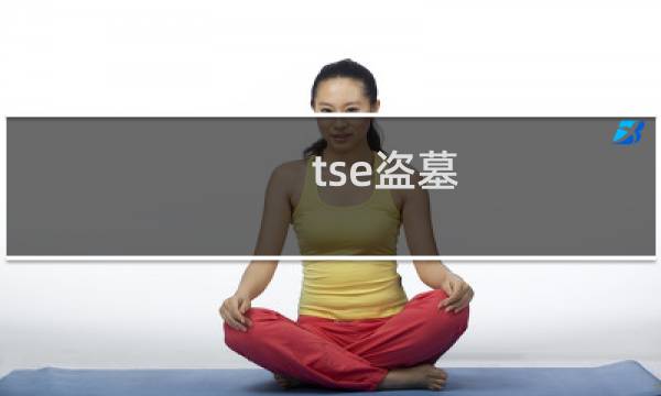 tse盗墓 攻略