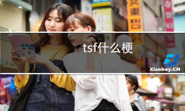 tsf什么梗