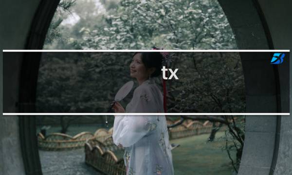 tx 2.4攻略