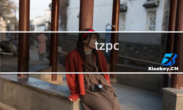 tzpc.com提交转入状态一直正在处理