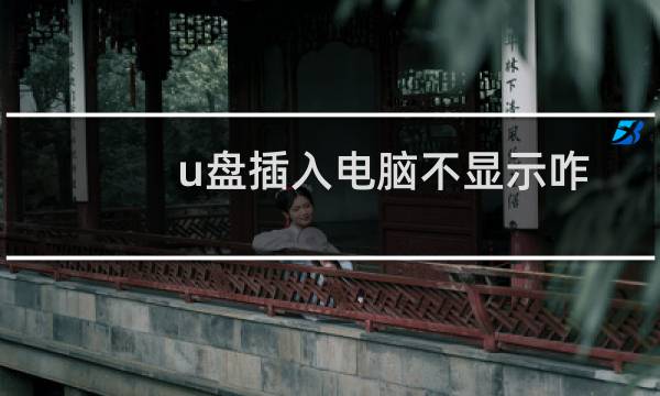 u盘插入电脑不显示咋办（u盘变8m）