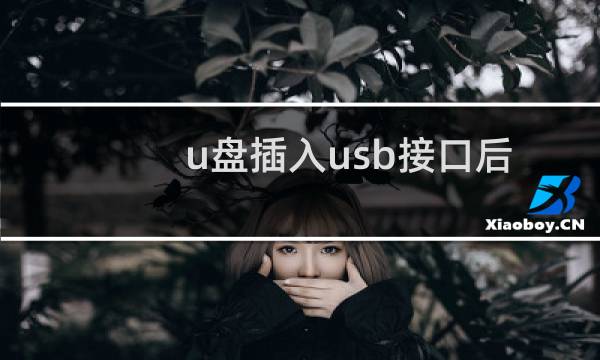 u盘插入usb接口后电脑无法识别u盘怎么办