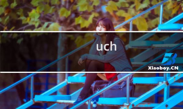 uch.ltd解析不正常