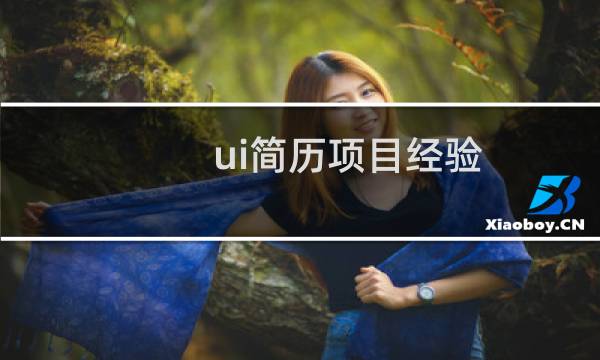 ui简历项目经验