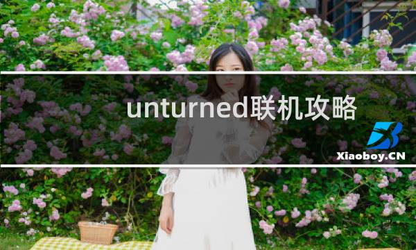 unturned联机攻略