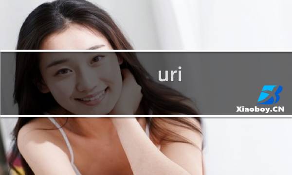 uri 攻略