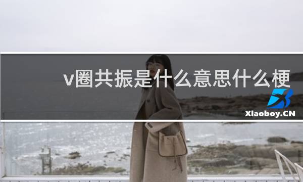 v圈共振是什么意思什么梗