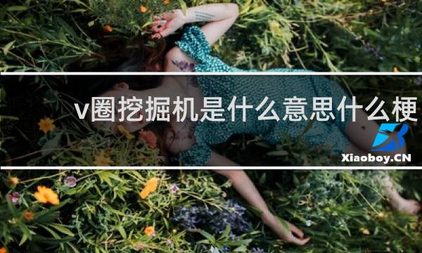 v圈挖掘机是什么意思什么梗