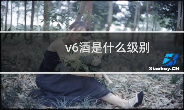v6酒是什么级别