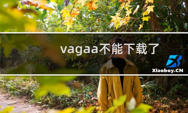 vagaa不能下载了怎么回事（vagaa搜索不到也下不了东西）