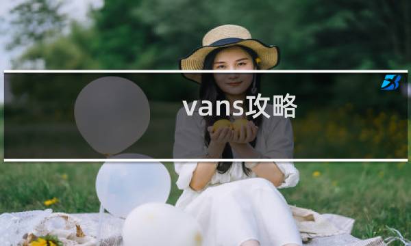 vans攻略
