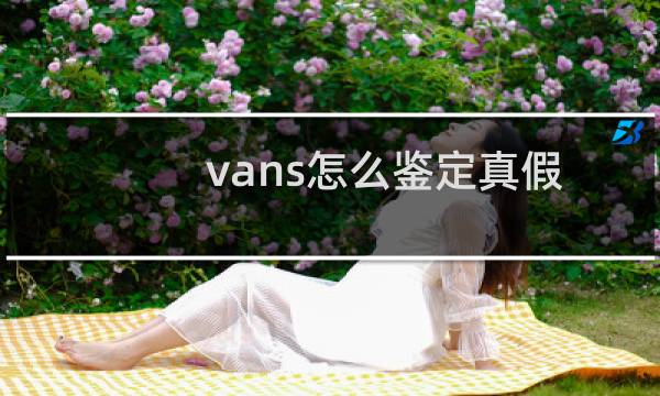vans怎么鉴定真假（万斯真假辨别）图片