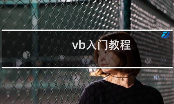 vb入门教程 经验分享