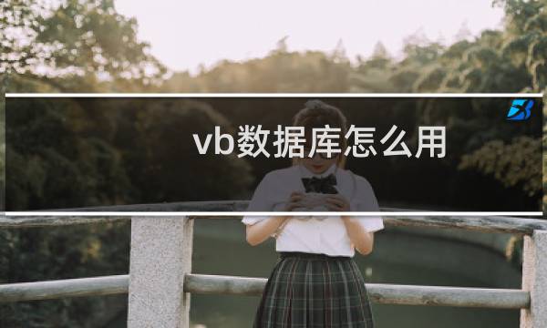 vb数据库怎么用（vb 数据库）图片