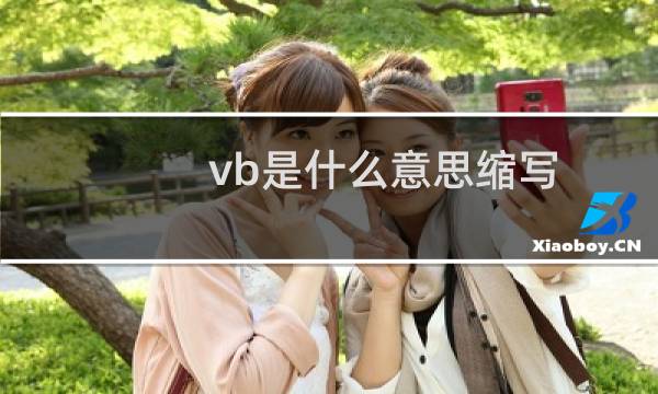 vb是什么意思缩写（vb是什么意思）图片