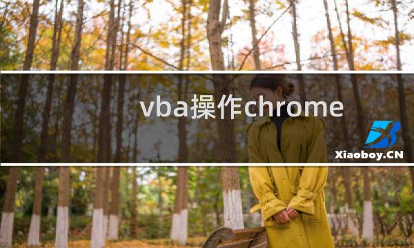 vba操作chrome