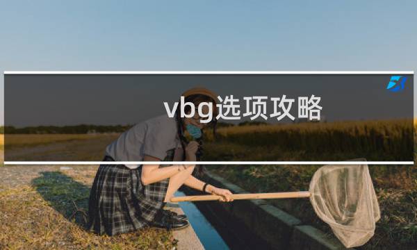 vbg选项攻略