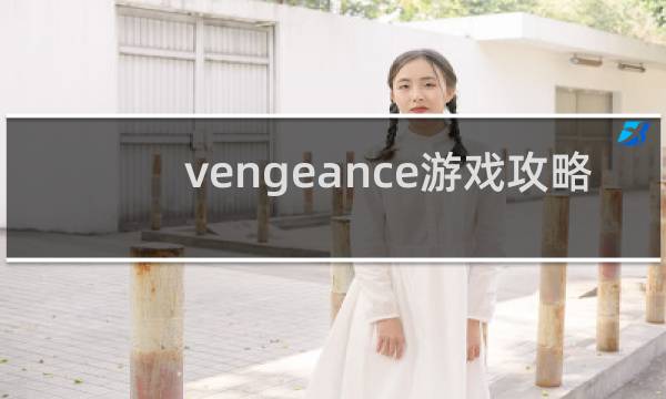 vengeance游戏攻略