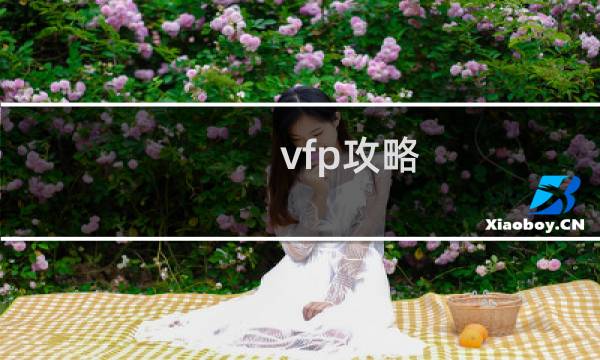 vfp攻略