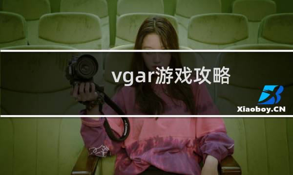 vgar游戏攻略