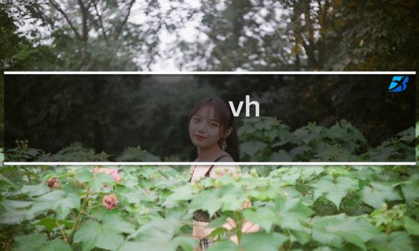 vh 攻略
