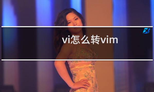 vi怎么转vim