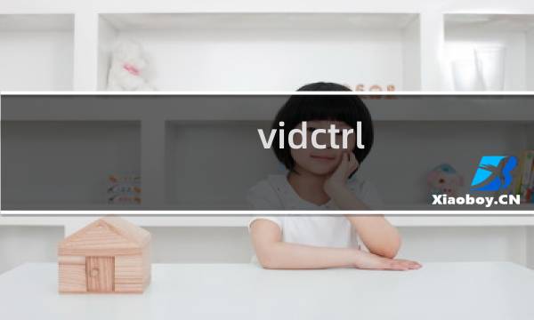 vidctrl.exe进程是什么意思