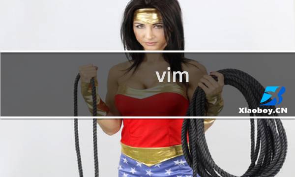 vim 分号作用