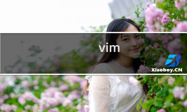 vim 历史命令窗口