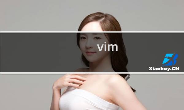 vim 夜晚模式