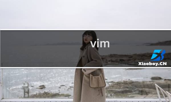 vim 如何更新