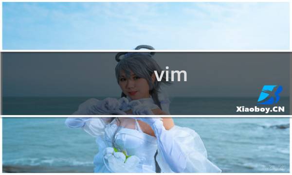 vim 如何运行python