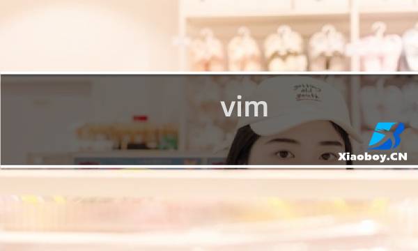 vim 如何配置插件